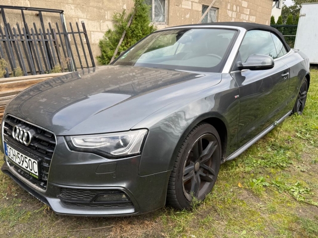 audi